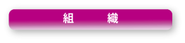 組織